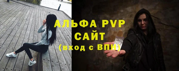 стаф Магас