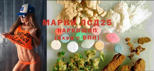 стаф Магас