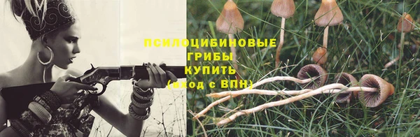 герыч Лиски