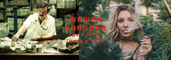 стаф Магас